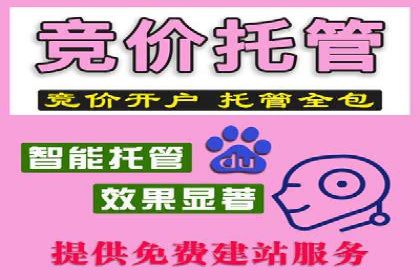 Sem优化公司案例：打造高效广告投放策略